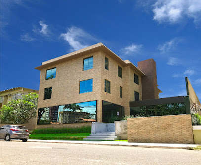 ITC Vertebral