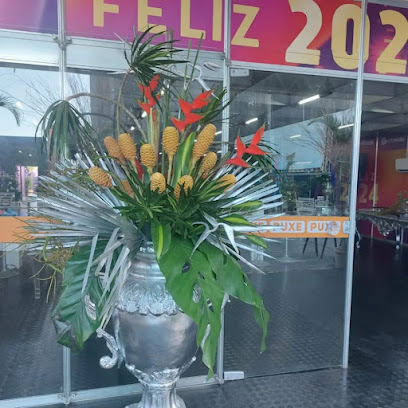 Fátima Flores